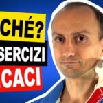 Animale con la lettera I: Una guida completa alle specie animali