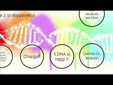 Il sorprendente mistero della doppia elica del DNA: un'esplosione di scoperte scientifiche!