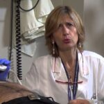 Quando piantare l’avocado per la fruttificazione