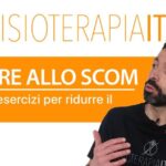 Quando piantare l’avocado per la fruttificazione