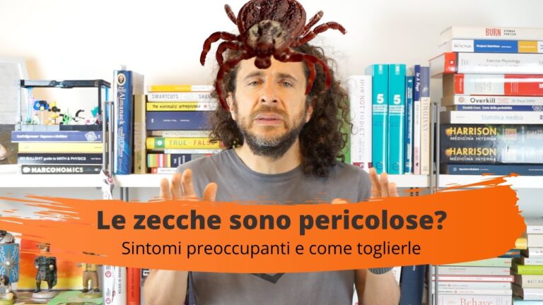 Sintomi della Puntura di Zecca nei Cani: Tempistiche e Riconoscimento
