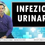 L’Organizzazione dei Lavoratori: Ottimizzazione ed Efficienza