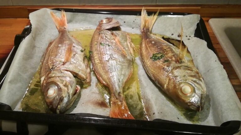 Occhione: scopri il suo incredibile sapore a un prezzo da sogno, solo 70€ al kg!
