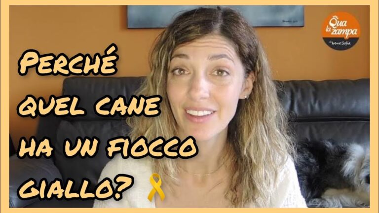 La nuova tendenza: il fiocco di sostituzione. Addio alle decorazioni tradizionali!