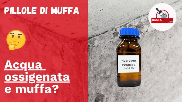 Segreti per eliminare l’umidità dalle ossa: rimedi efficaci in 5 passi!