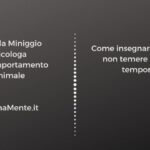 Elimina l’ascesso gengivale del tuo cane: soluzioni efficaci in 5 semplici passi!