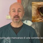La ricetta del pesce all’acqua pazza: un sapore napoletano che conquista!