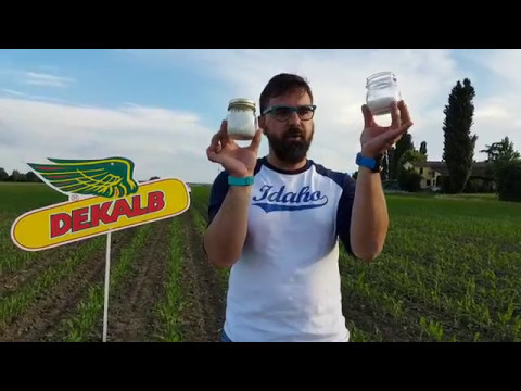 Scopri il Prezzo dell’Urea 46 Oggi: Offerte Imperdibili!