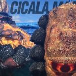 Cisti alle Dita delle Mani: Cause, Sintomi e Trattamenti