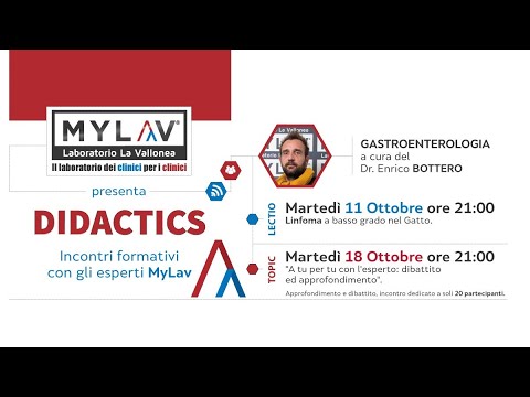 La morte del gatto: tutto ciò che c’è da sapere sul linfoma felino
