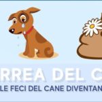 Meloxidyl per il tuo micio: il rimedio efficace contro il dolore dei gatti