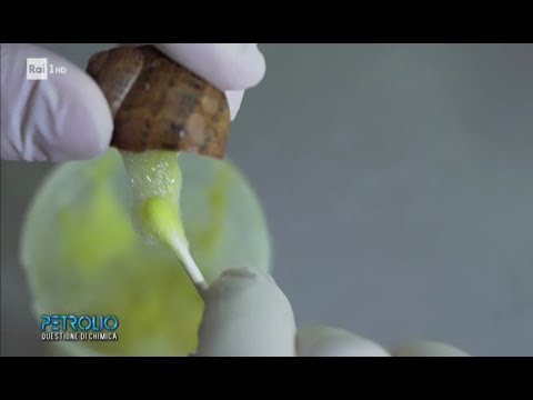 La sorprendente bava delle lumache: un elisir di bellezza naturale