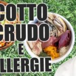 La dieta Plank: testimonianze negative svelano verità nascoste
