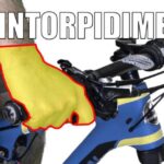Sopprimere l’ernia nel cane: soluzione efficace in 70 caratteri!