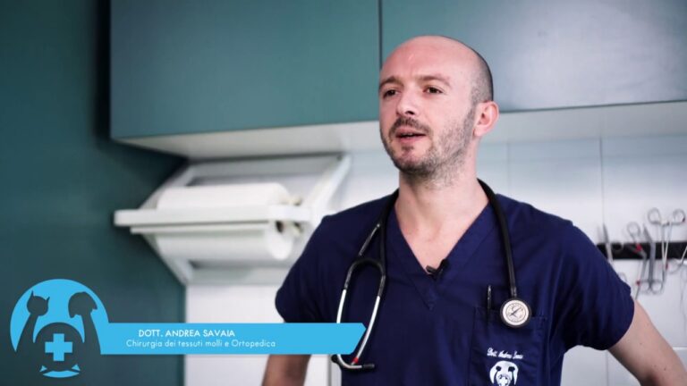 Cartilagine orecchio cane: come prevenire e curare la rottura