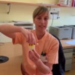 Fenobarbitale: il salvavita per il tuo cane!
