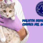 Alta qualit&agrave; a basso prezzo: scopri il cane Altadol e risparmia!