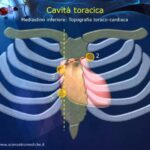 Nuovi farmaci per il disturbo bipolare: una panoramica ottimizzata