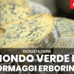 Guida ottimizzata per imparare il C2 Spagnolo