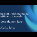 Anemia felina: scopri le sorprendenti aspettative di vita del tuo gatto!