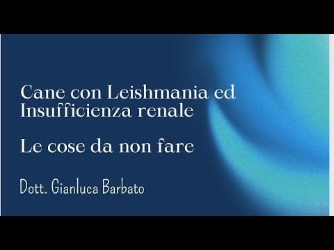 Addio al gatto: lotta contro l'insufficienza renale terminale