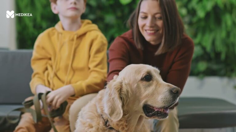 Leishmaniosi: il terribile rischio per il cane, una morte imminente?