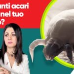 Ossigeno 20 volumi: la sorprendente capacit&agrave; di schiarimento in soli 70 caratteri!
