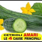 Addio al raffreddore dei piccoli: scopri l’efficacia di Vicks BabyRub!