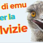 Mascherine Carnevale: Idee creative e originali per un divertimento sicuro