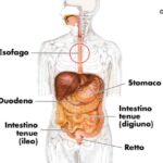 Il fastidio delle luci delle macchine: come difendersi dalla luce blu