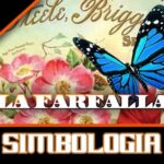 Neodidro 5 cps: scopri il prezzo irresistibile di questo rivoluzionario prodotto!