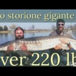 Elenchi dei prodotti di Aloe ritirati: Una guida ottimizzata e concisa