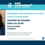 Addio rogna del cane: scopri i segreti per guarire in modo naturale!