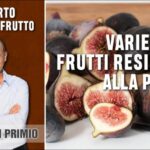 Neurinoma della Gamba: Diagnosi e Trattamento Efficace