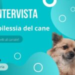 Fenobarbitale: il salvavita per il tuo cane!