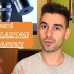 La Confusione delle Voci
