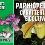 Colori per casco da cantiere: guida all’ottimizzazione