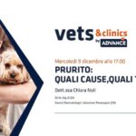 Alta qualit&agrave; a basso prezzo: scopri il cane Altadol e risparmia!