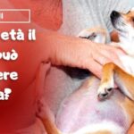 Shocking: Cane mangia la sua cacca e le conseguenze sono sorprendenti!