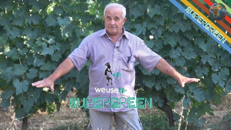 Scopri l’esperto di tartufi che risolve il cruciverba: un intreccio di sapori irresistibile!