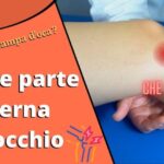 Concorso ATA: Data di Uscita e Informazioni Importanti