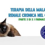 Formula per il Calcolo Ottimale del Colesterolo Totale