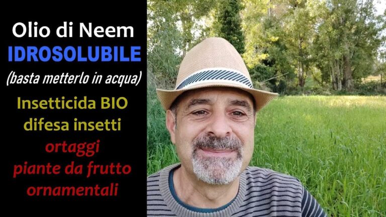 Olio di Neem: La soluzione infallibile per bruciare le foglie