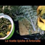Raffreddore e Febbre a 38: Cause, Sintomi e Trattamento