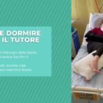 Ecografia Doppler delle Carotidi: Importanza e Applicazioni