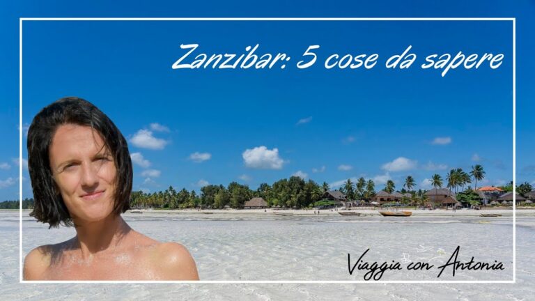 Guida ottimizzata per viaggiare a Zanzibar: quando e dove andare