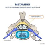Proteine per aumentare di peso
