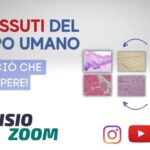 Feta e Lattosio: È Sicura per i Intolleranti?