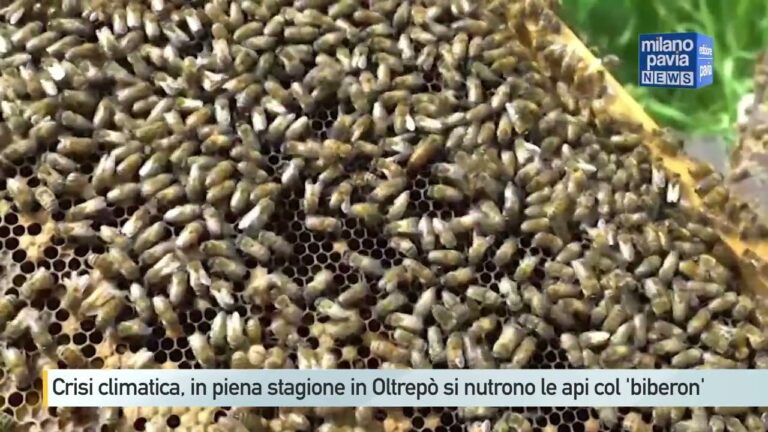 Alimentazione neonatale: Nutrirsi con il Biberon