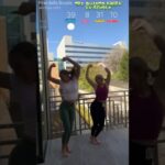 Quando piantare l’avocado per la fruttificazione